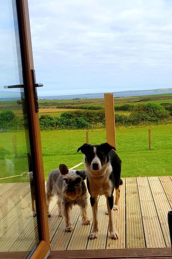 Lilly'S Lodges Orkney Butterfly Lodge Finstown Exterior photo